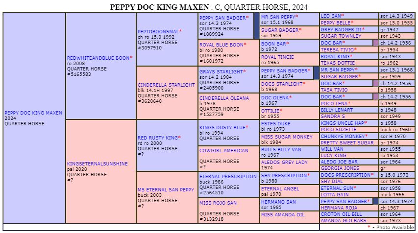 Pedigree Peppy Doc King Maxen